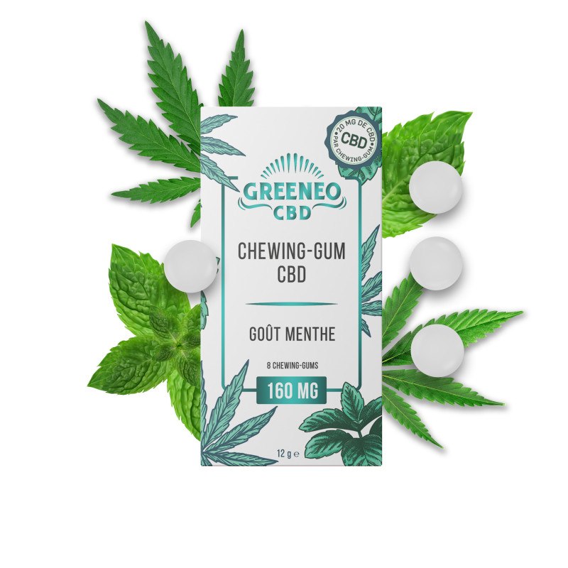 Chewing-gum menthe - Pack de 8