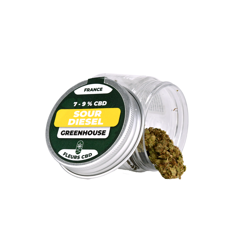 Fleurs CBD en pot - Sour...