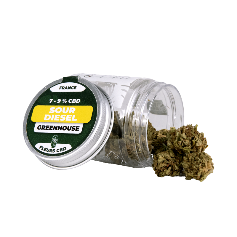 Fleurs CBD en pot - Sour...