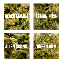 Infusion Fleurs CBD - Pack...