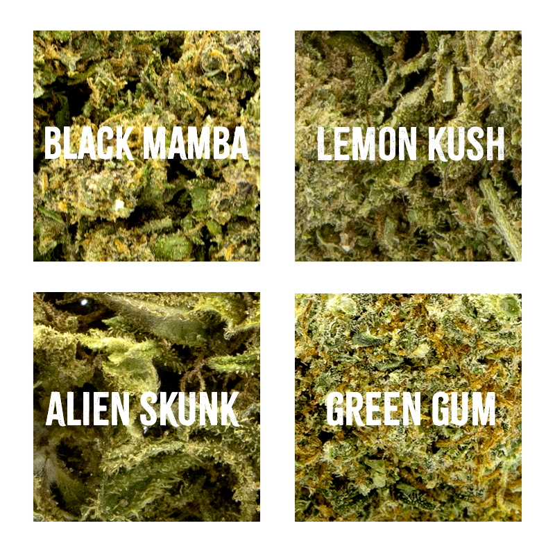 Infusion Fleurs CBD - Pack...