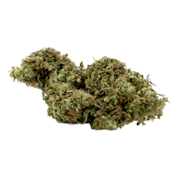 Fleurs CBD - Tropical kush...