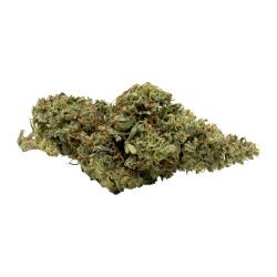 Fleurs CBD VRAC - Amnesia HCT