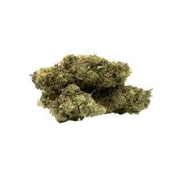 Fleurs CBD - Amnesia HCT