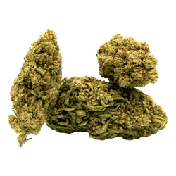 Fleurs CBD VRAC - White Widow