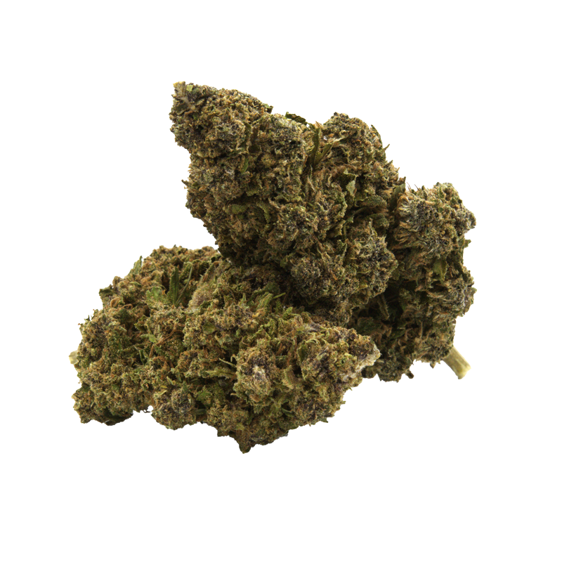 Fleurs CBD - Tropical Punch