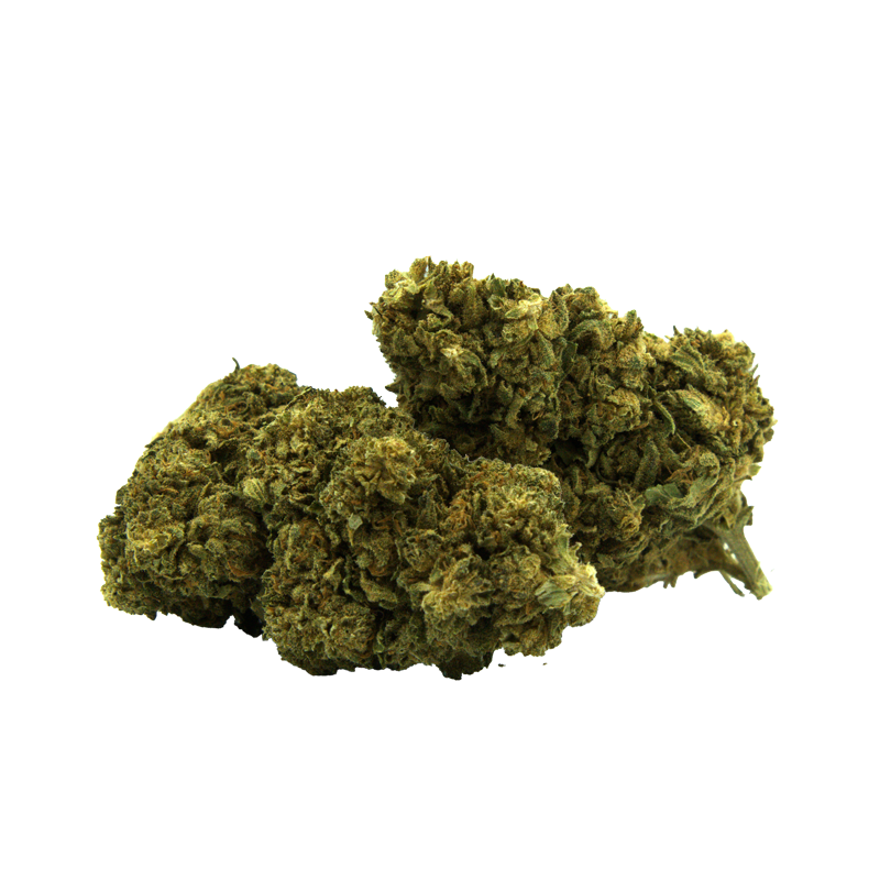 Fleurs CBD - Boo Berry