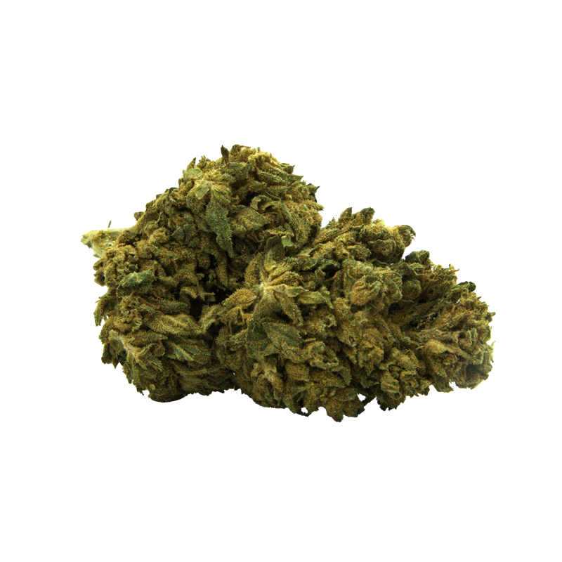 Fleurs CBD - Boo Berry