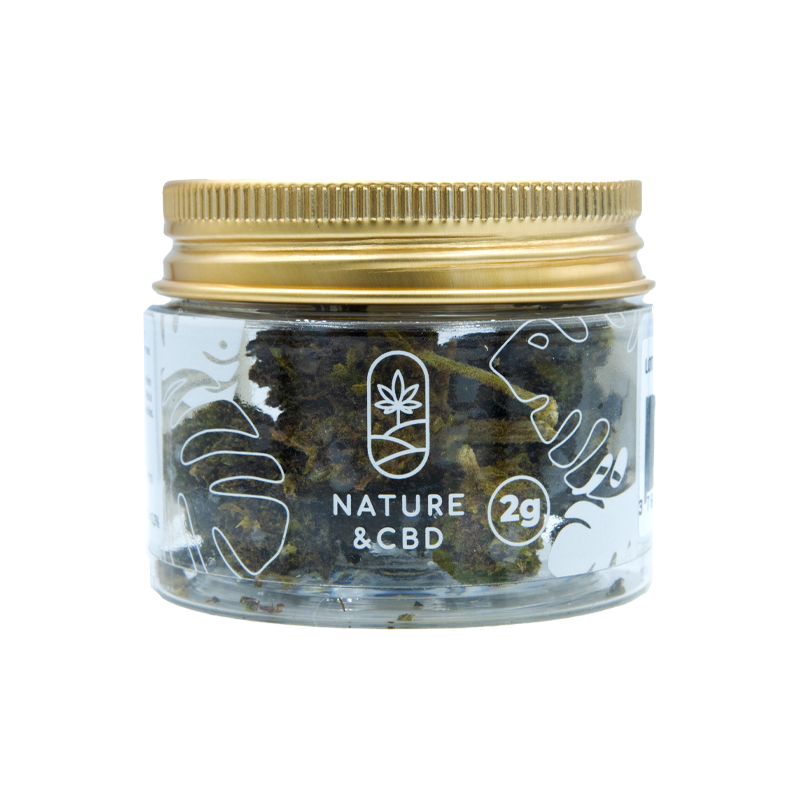 Fleurs CBD en pot -...