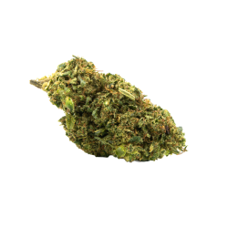 Fleur CBD - Sour Diesel CBDX