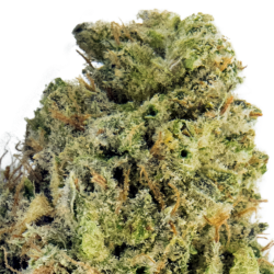 Infusion Fleurs CBD VRAC -...