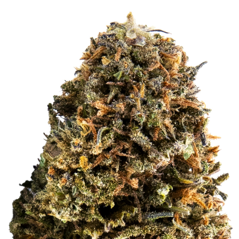 Fleurs CBD VRAC - Alien Skunk