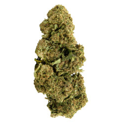 Infusion Fleurs CBD - Amnesia