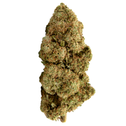 Fleurs CBD - Blueberry