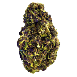 Fleurs CBD - Granddaddy Purple