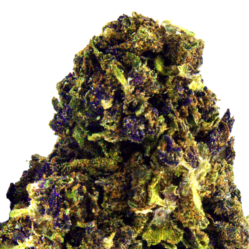 Fleurs CBD - Granddaddy Purple