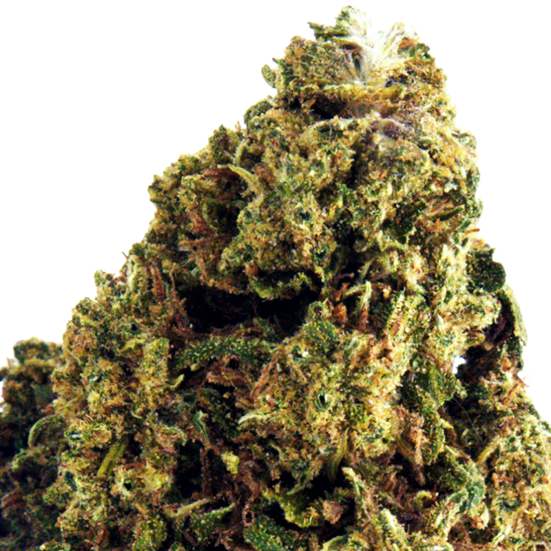 Fleurs CBD - Liberty Haze