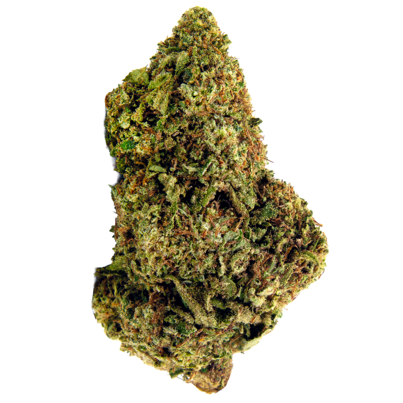 Infusion Fleurs CBD - OG KUSH