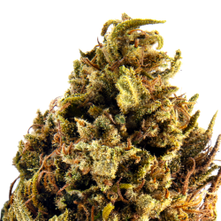 Infusion Fleurs CBD VRAC -...