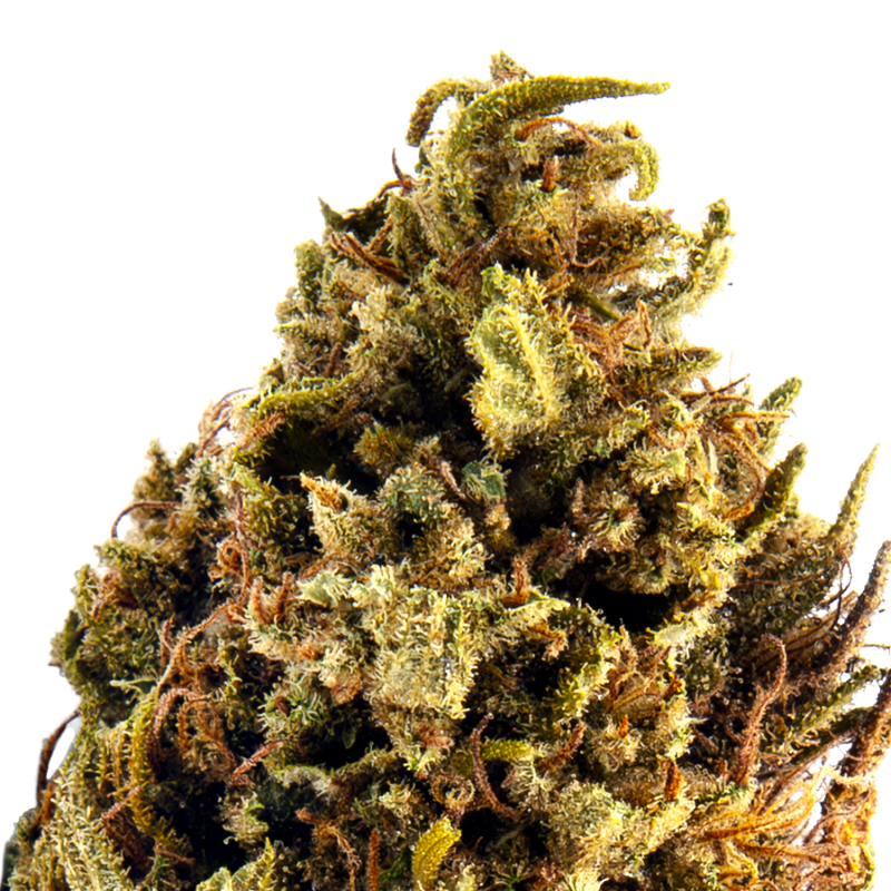 Infusion Fleurs CBD - Sour...