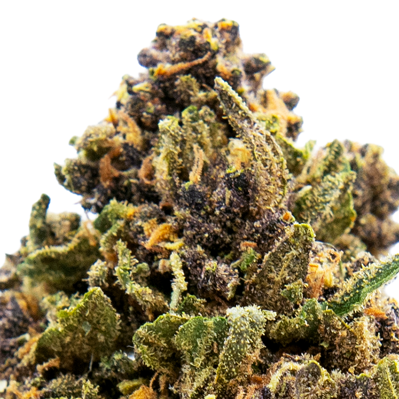 Fleurs CBD - Purple Haze