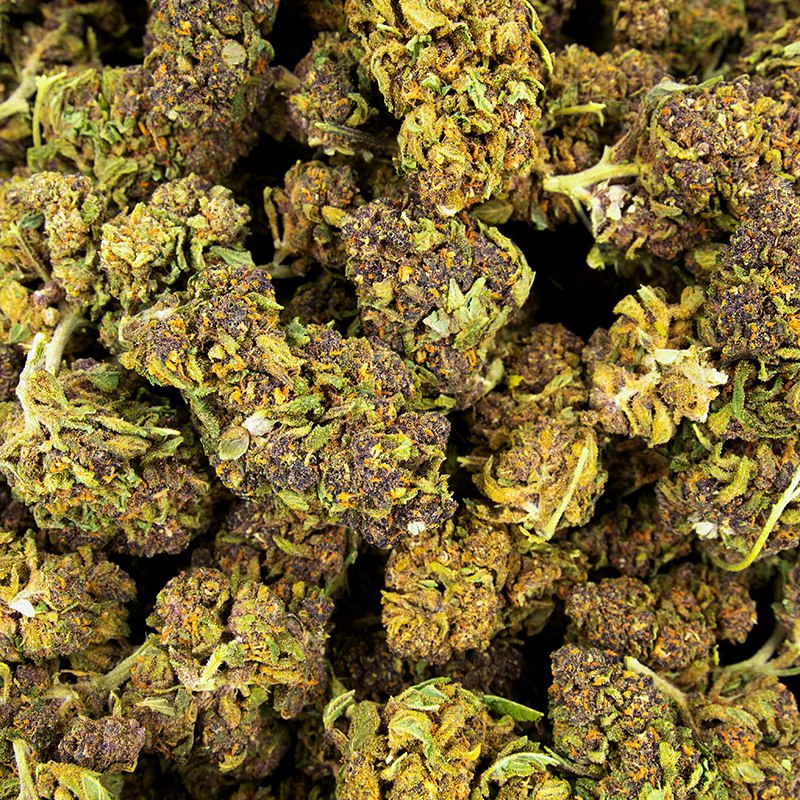 Fleurs CBD - Purple Haze