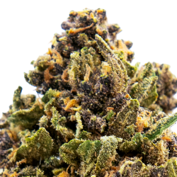 Fleurs CBD VRAC - Purple Haze