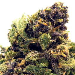 Fleurs CBD VRAC - Cheese