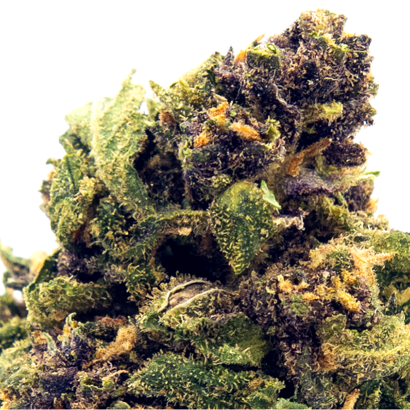 Fleurs CBD VRAC - Cheese