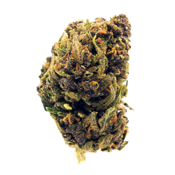 Infusion Fleurs CBD - Cheese