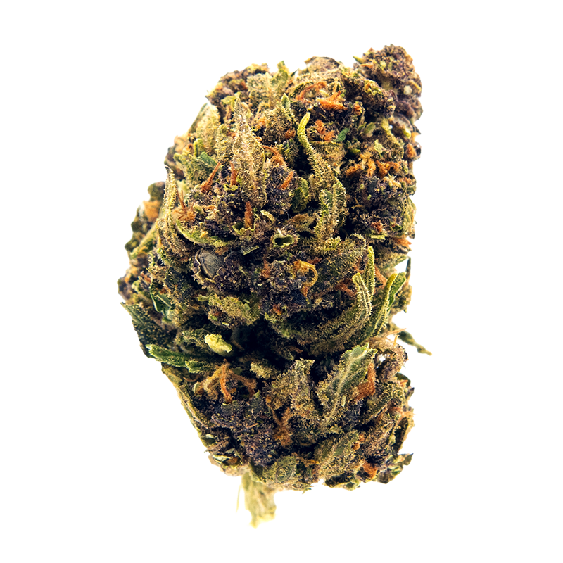 Infusion Fleurs CBD - Cheese