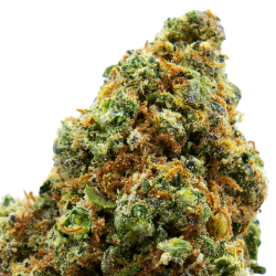 Fleurs CBD VRAC - Blueberry...