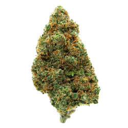 Fleurs CBD - Blueberry Indoor