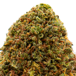 Fleurs CBD VRAC - Lemonade