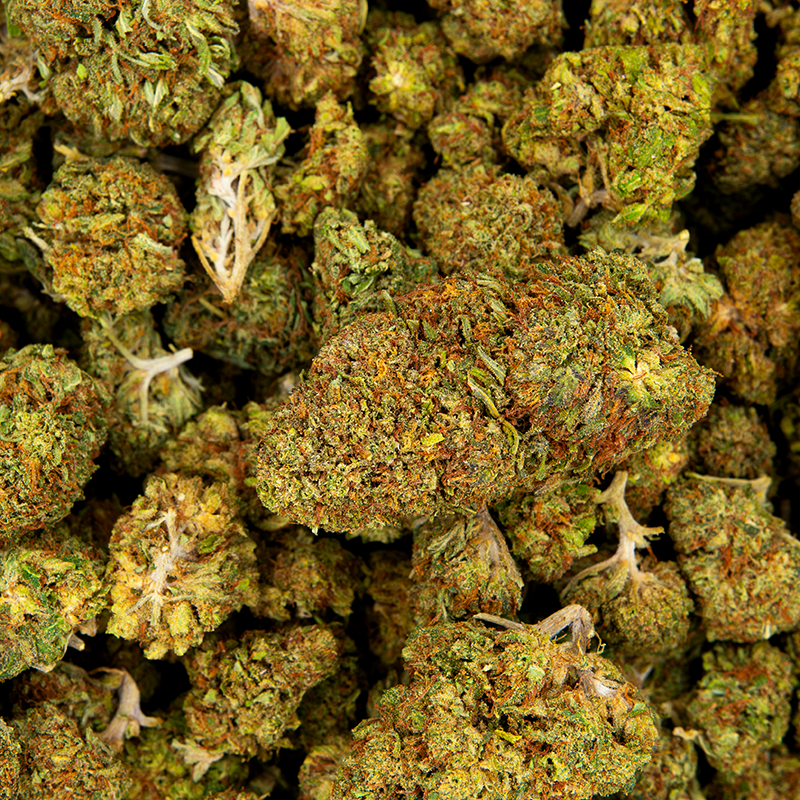 Fleurs CBD VRAC - Lemonade