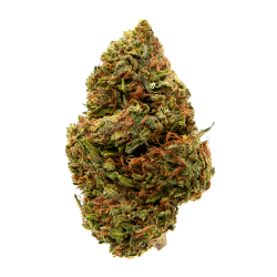 Infusion Fleurs CBD - Lemonade