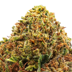 Fleurs CBD VRAC -...