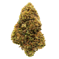 Fleurs CBD - Headbanger Kush