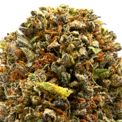 Fleurs CBD VRAC - Platinium OG