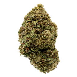 Fleurs CBD - Platinium OG