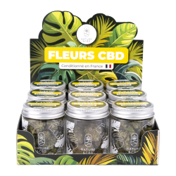 Présentoir - Fleurs CBD en...