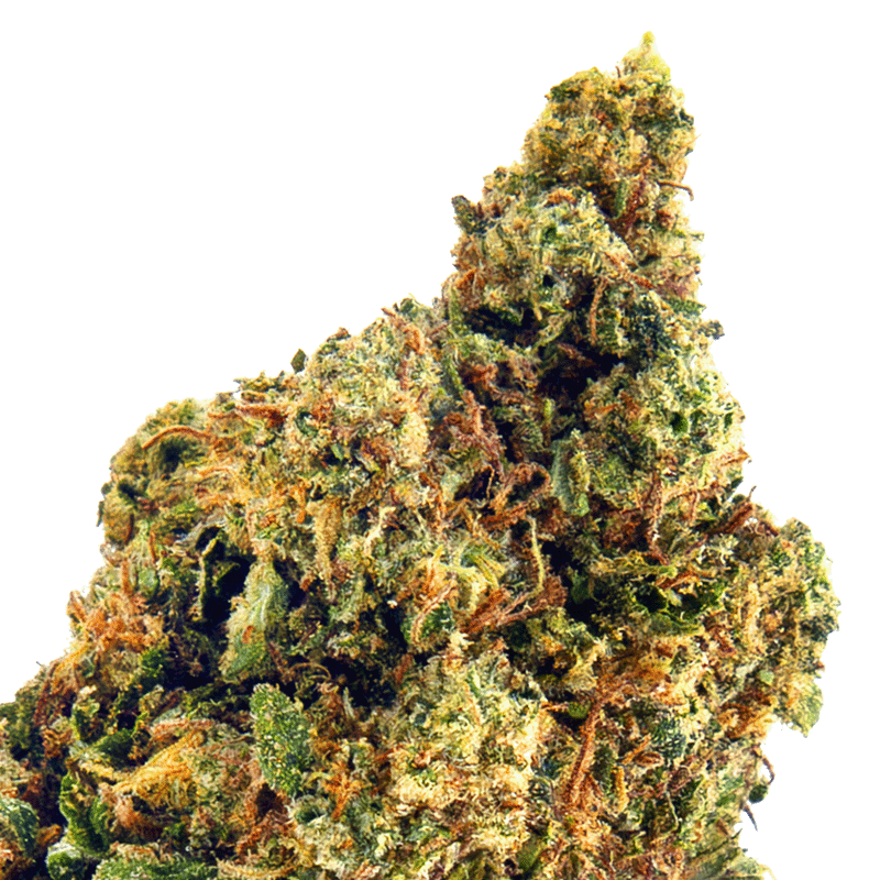 Infusion Fleurs CBD - MANGO...