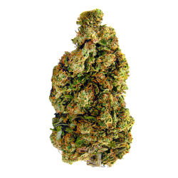 Infusion Fleurs CBD - MANGO...