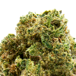 Fleurs CBD VRAC - Cookies