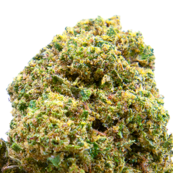 Fleurs CBD VRAC - Cream Kush