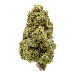 Infusion Fleurs CBD - Cream...