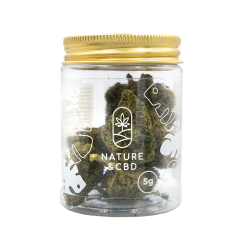 Fleurs CBD en pot - Mango Haze