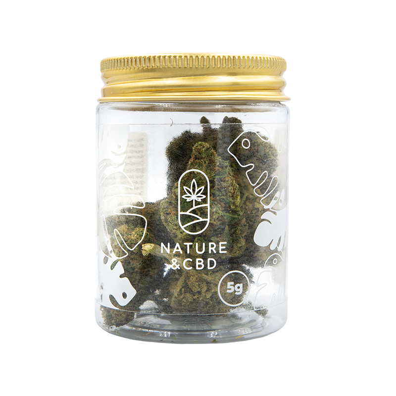 Fleurs CBD en pot - Mango Haze