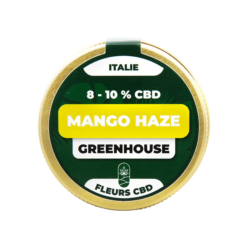 Fleurs CBD en pot - Mango Haze