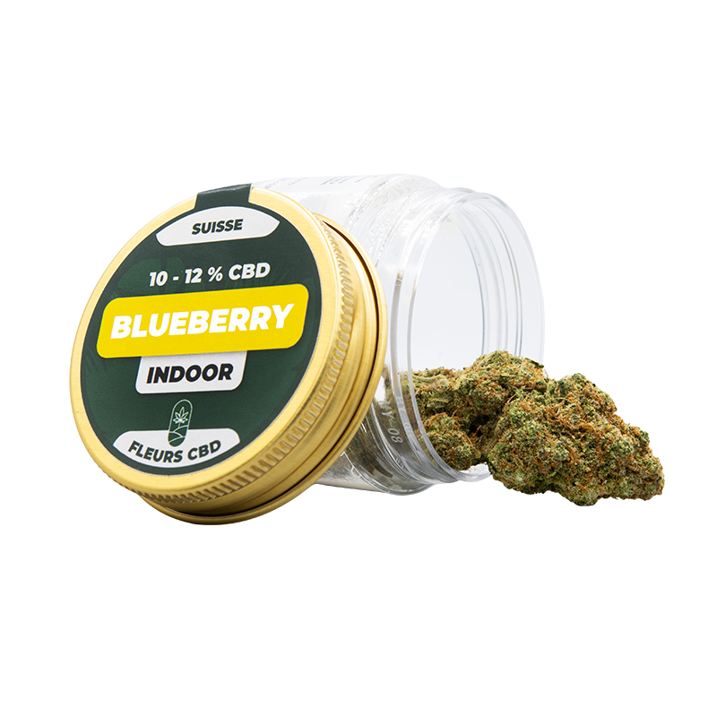 Fleurs CBD en pot -...